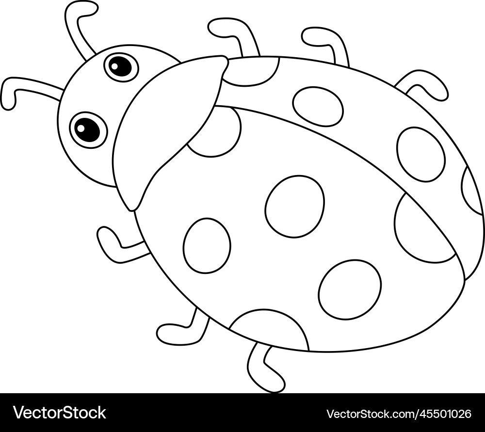 Spring Ladybug Isolated Coloring Page For Kids Royalty Free Vector VectorStock Spring Ladybug Isolated Coloring Page For Kids Royalty Free Vector VectorStock