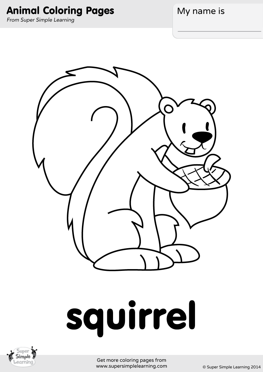 Squirrel Coloring Page Super Simple