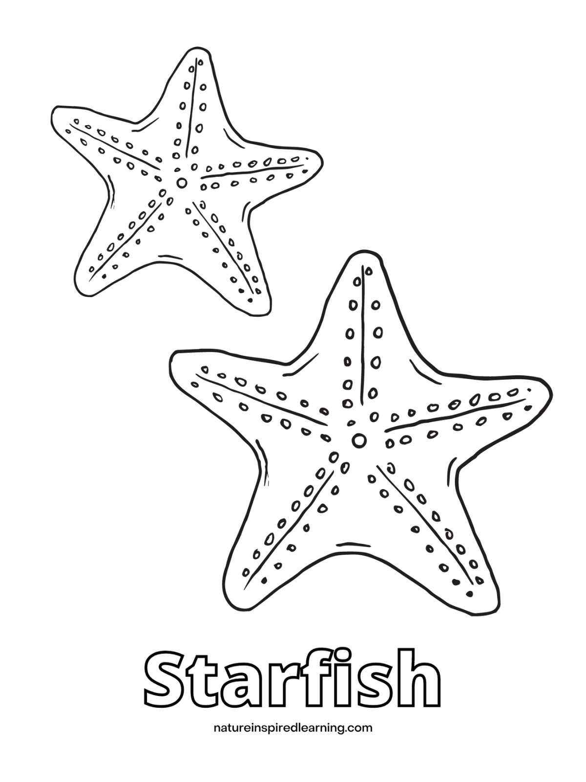 Sea Star Pictures To Color