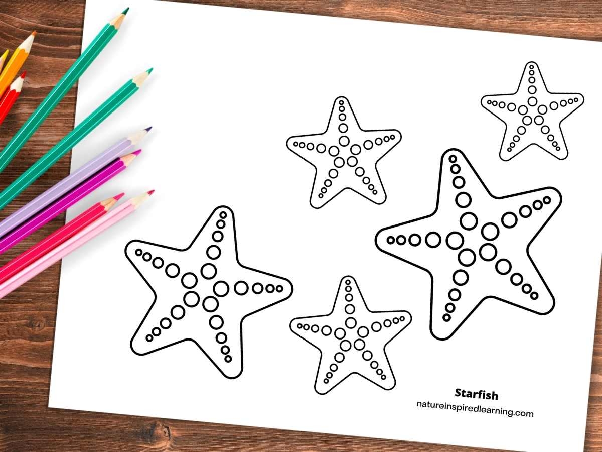 Starfish Coloring Pages Nature Inspired Learning