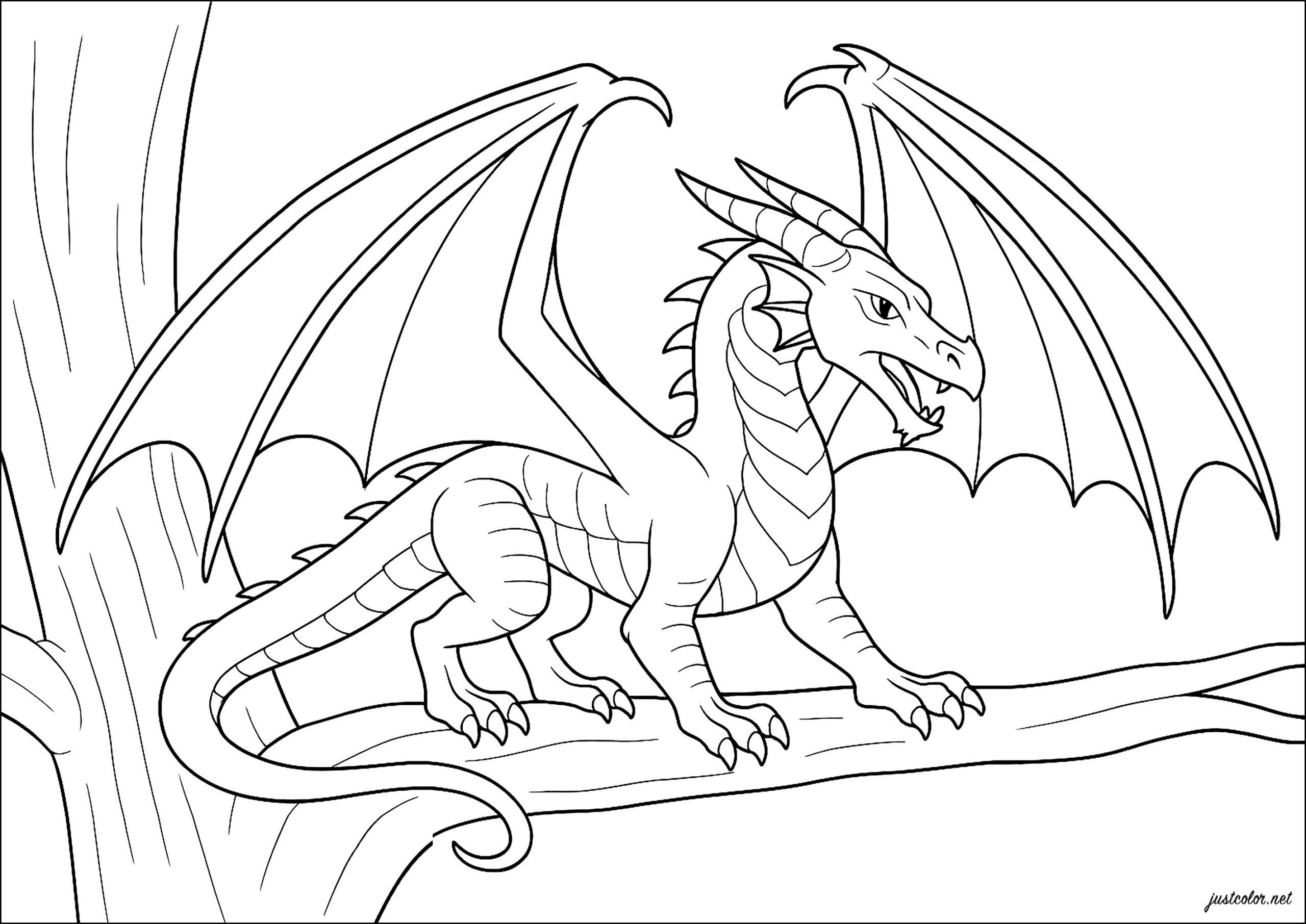 The Dragon In The Trees Wings Of Fire Coloring Pages