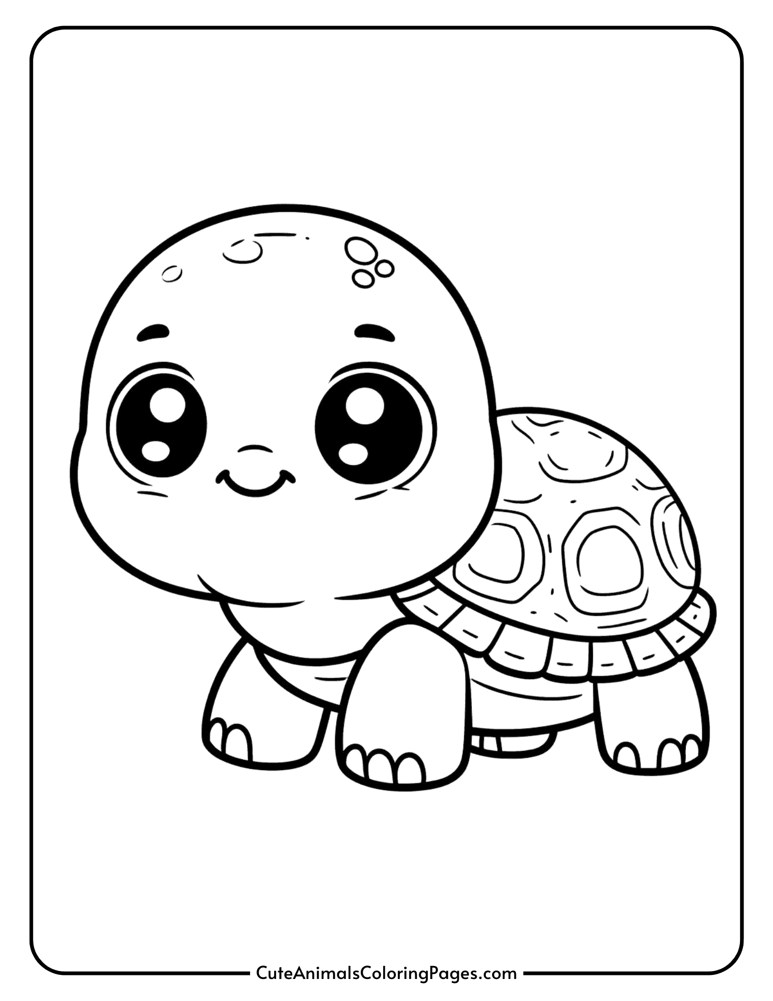 turtle pictures to color turtle pictures to color