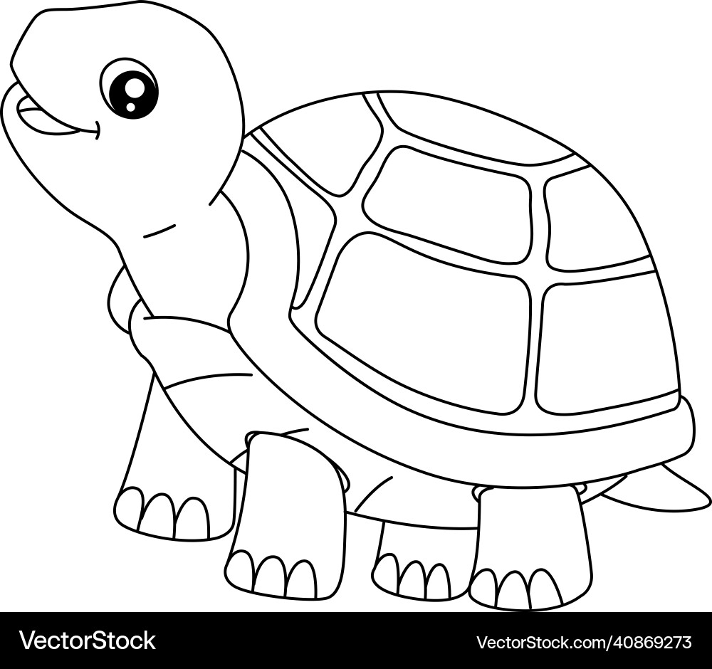 Turtle Pictures To Color