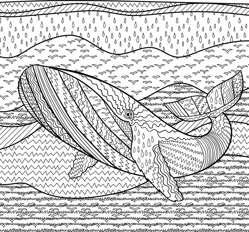 Whale Colouring Page Printable Thrifty Mommas Tips