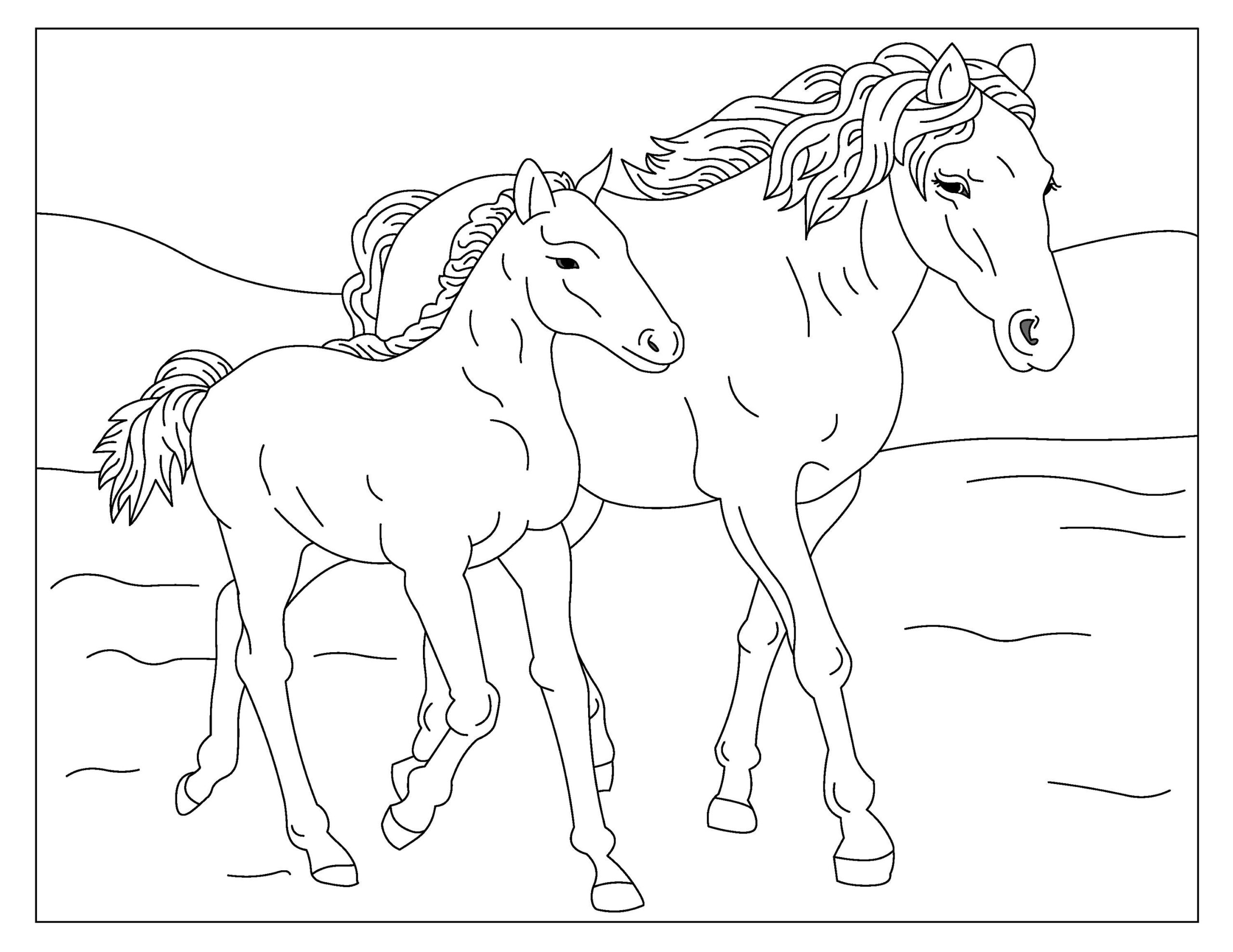 printable coloring pages horses