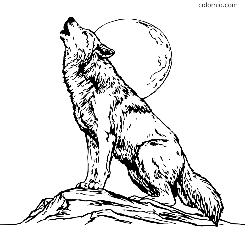 Wolves Coloring Pages Free Printable Wolf Coloring Sheets