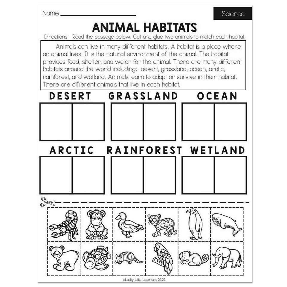 2nd grade science worksheets