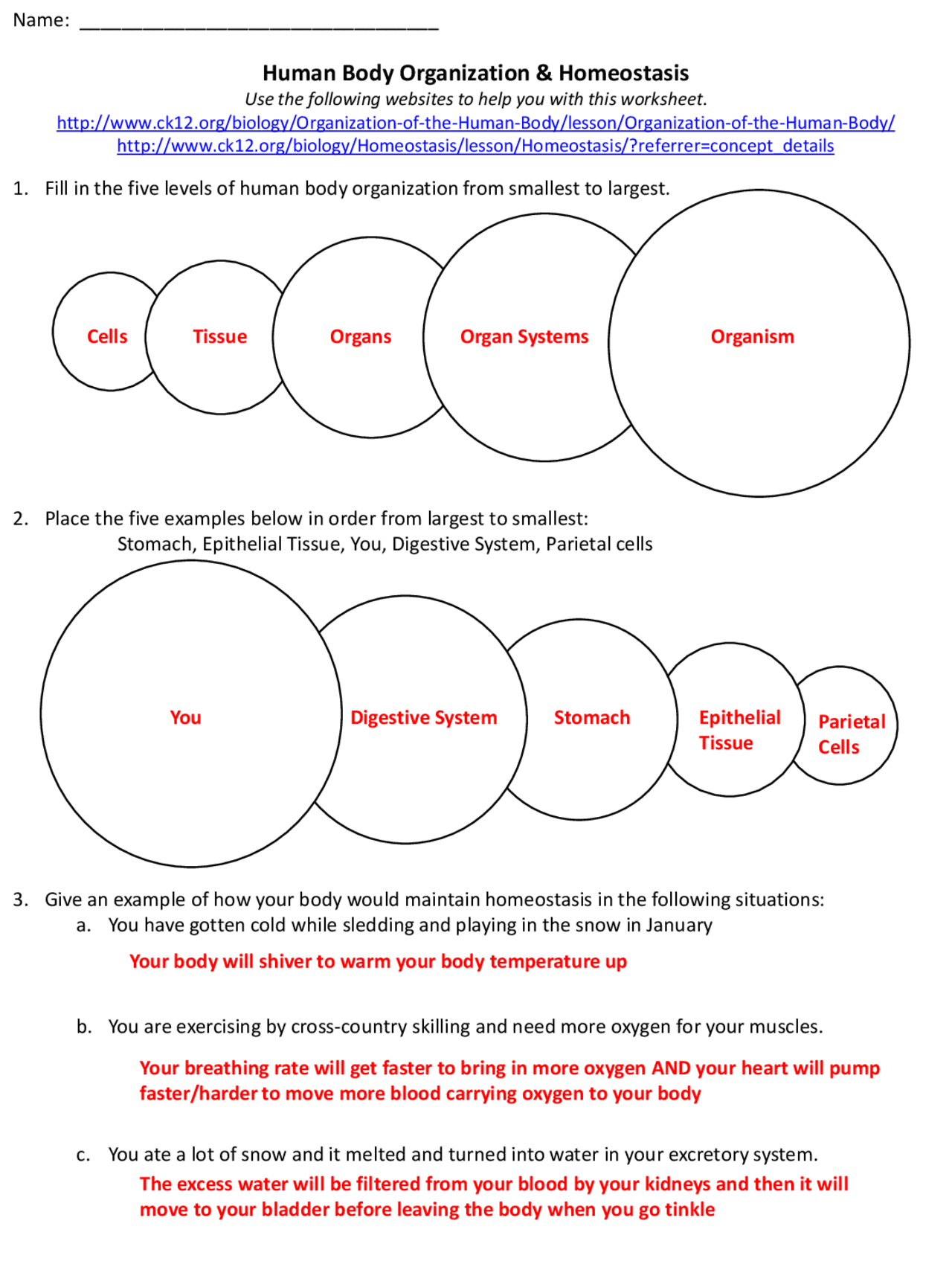 homeostasis graph worksheet answers