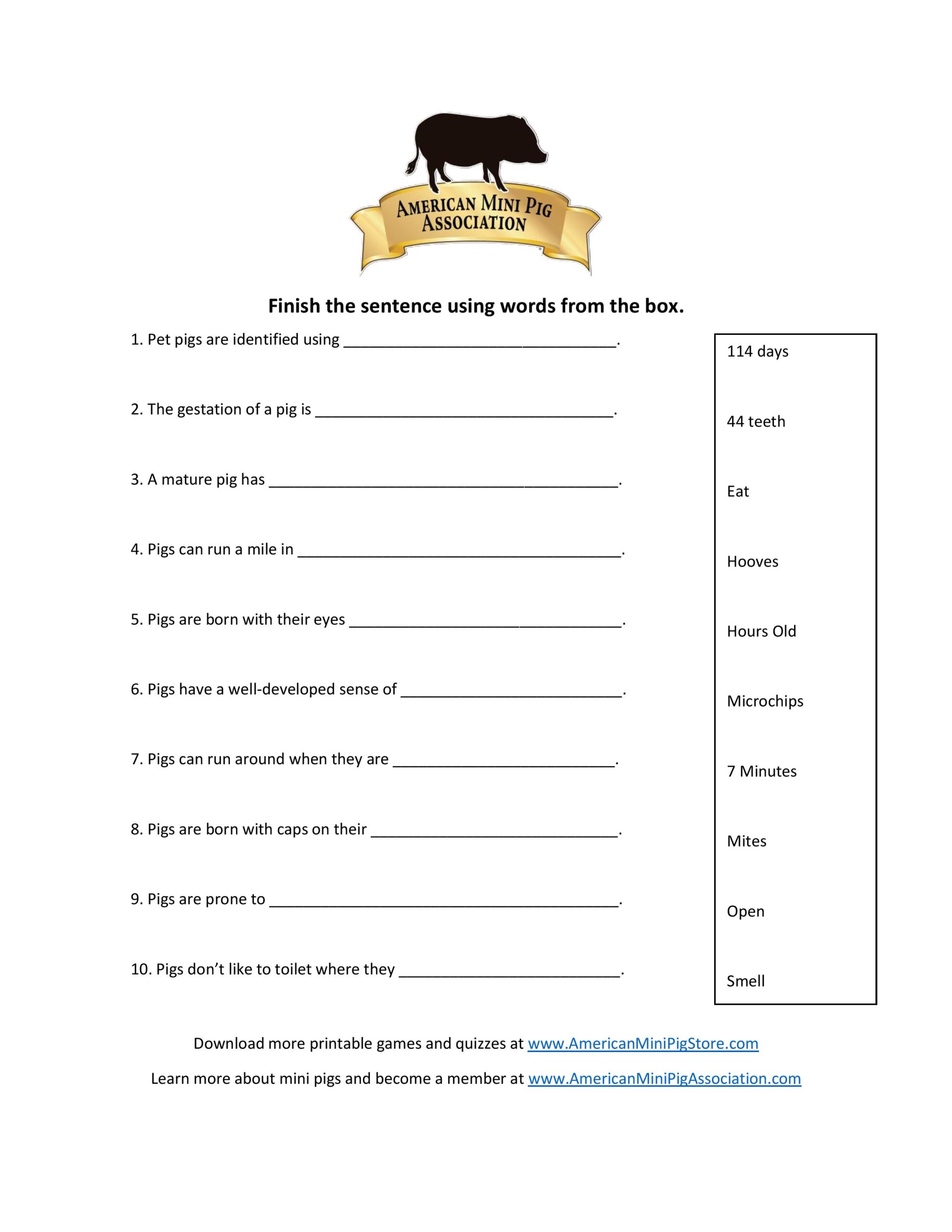 Pig Trivia Fill In The Blank 1 American Mini Pig Online Store