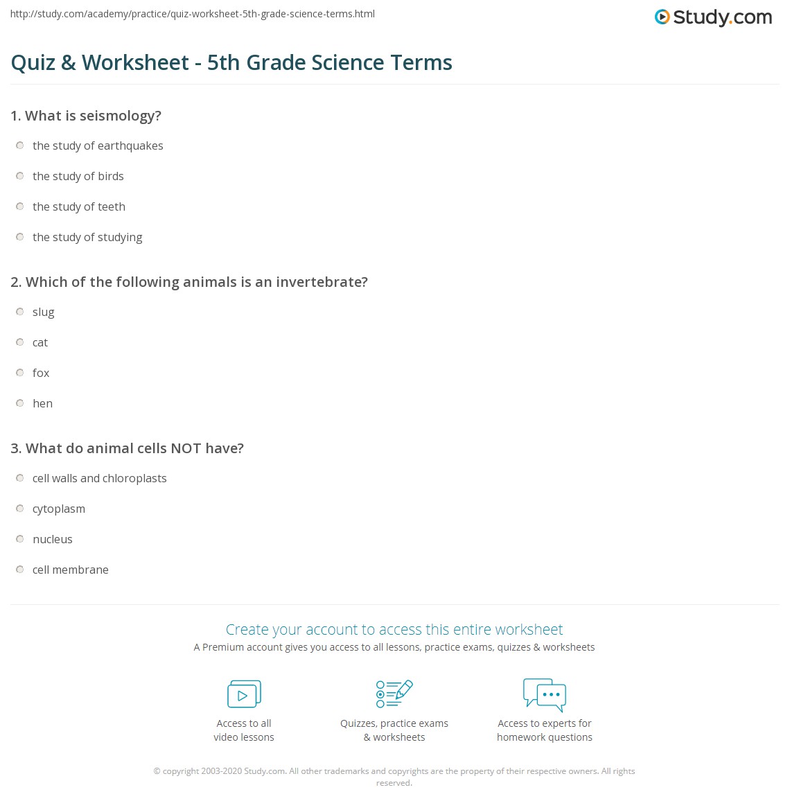 Quiz Worksheet 5th Grade Science Terms Study Quiz Worksheet 5th Grade Science Terms Study